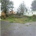 Storm damage at Ladys Mile 003